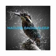 Nature Radio Sleep